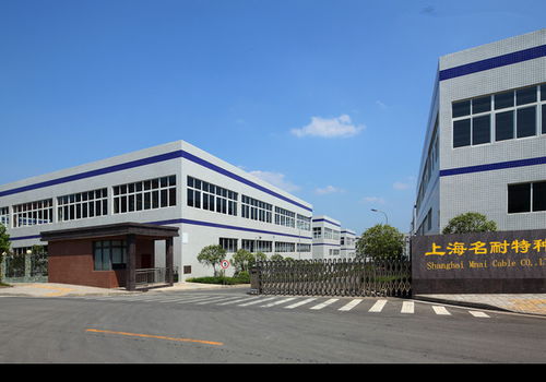 名耐抗拉耐磨吊具電纜 廠家價格、圖片及批發(fā)采購全解析